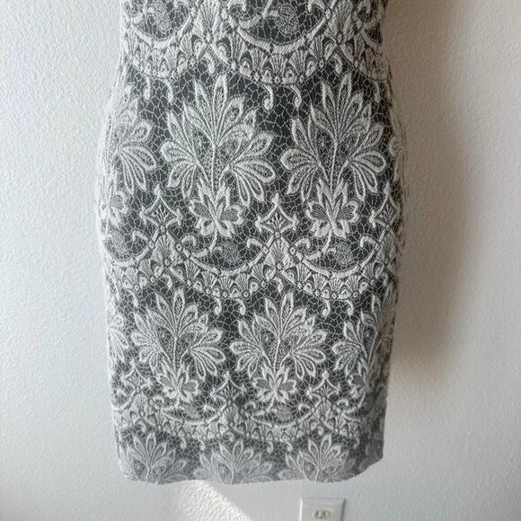 Alice + Olivia Sz 4 Gray White Donovan Lace‎ Sleeveless Sheath Shift Dress - Picture 5 of 9